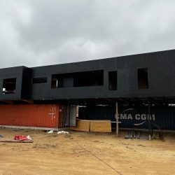 Algarrobo grande_02