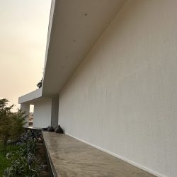 IMG_1015